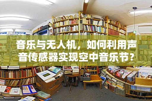 音乐与无人机，如何利用声音传感器实现空中音乐节？