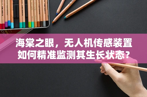 海棠之眼，无人机传感装置如何精准监测其生长状态？