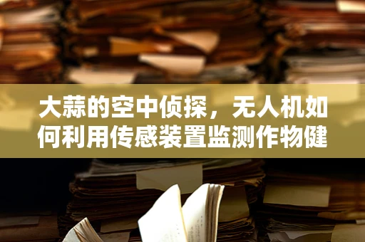 大蒜的空中侦探，无人机如何利用传感装置监测作物健康？