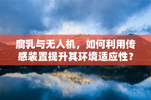 腐乳与无人机，如何利用传感装置提升其环境适应性？