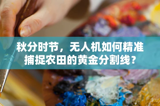 秋分时节，无人机如何精准捕捉农田的黄金分割线？