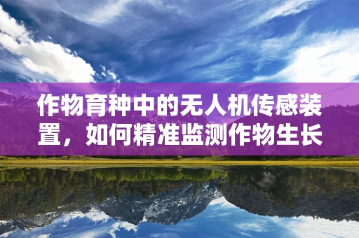 作物育种中的无人机传感装置，如何精准监测作物生长？