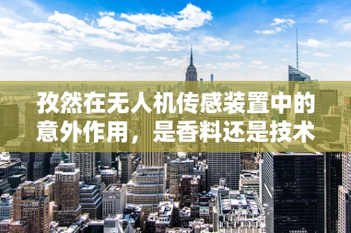 孜然在无人机传感装置中的意外作用，是香料还是技术革新？