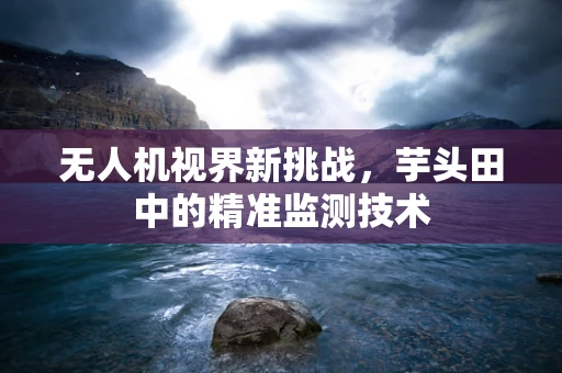 无人机视界新挑战，芋头田中的精准监测技术