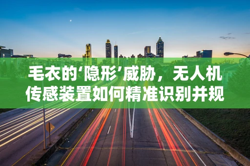 毛衣的‘隐形’威胁，无人机传感装置如何精准识别并规避？