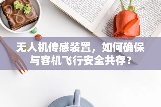 无人机传感装置，如何确保与客机飞行安全共存？