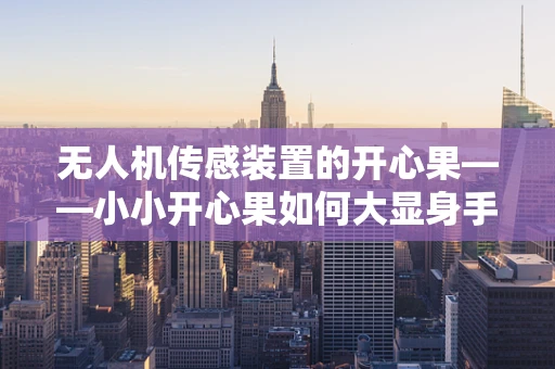 无人机传感装置的开心果——小小开心果如何大显身手？