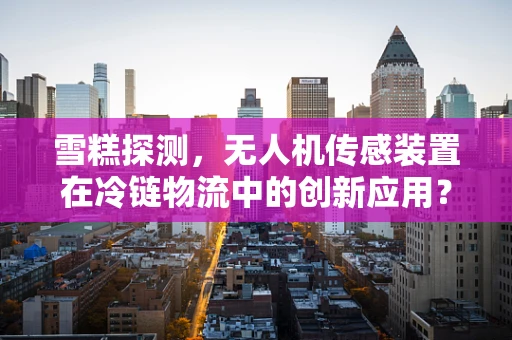 雪糕探测，无人机传感装置在冷链物流中的创新应用？
