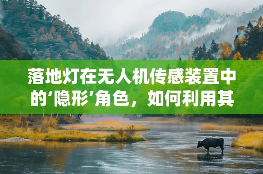 落地灯在无人机传感装置中的‘隐形’角色，如何利用其特性优化避障系统？