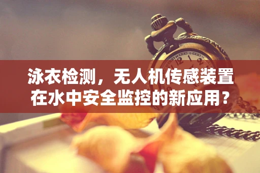泳衣检测，无人机传感装置在水中安全监控的新应用？