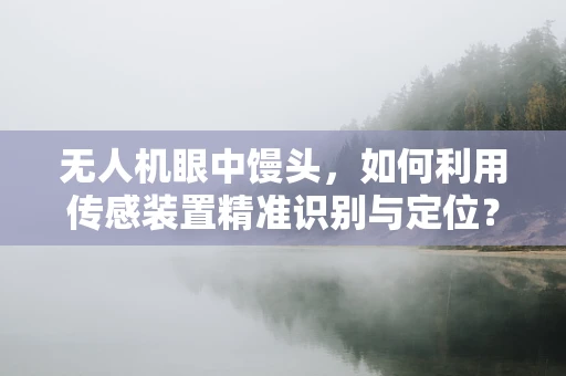 无人机眼中馒头，如何利用传感装置精准识别与定位？
