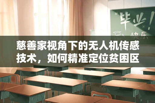 慈善家视角下的无人机传感技术，如何精准定位贫困区域？