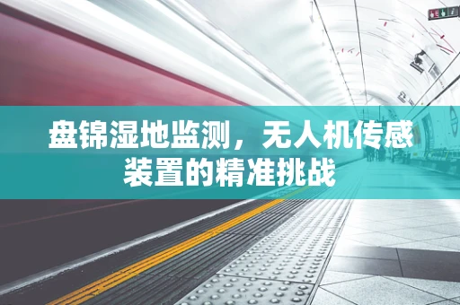 盘锦湿地监测，无人机传感装置的精准挑战