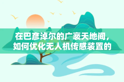在巴彦淖尔的广袤天地间，如何优化无人机传感装置的精准度与稳定性？