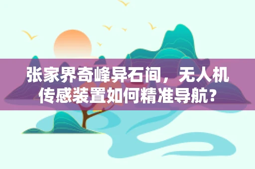 张家界奇峰异石间，无人机传感装置如何精准导航？