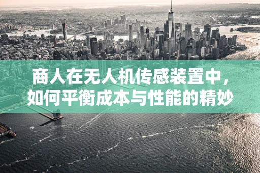 商人在无人机传感装置中，如何平衡成本与性能的精妙考量？
