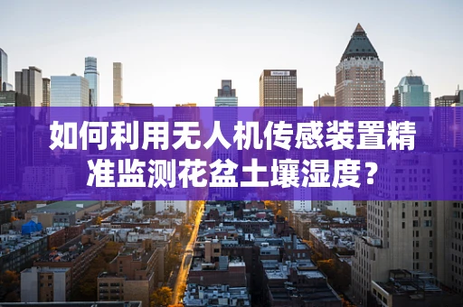 如何利用无人机传感装置精准监测花盆土壤湿度？