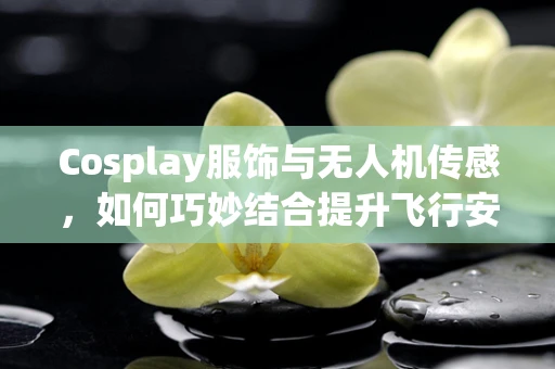 Cosplay服饰与无人机传感，如何巧妙结合提升飞行安全？