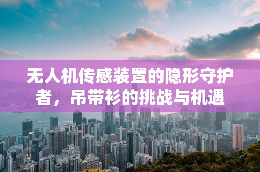 无人机传感装置的隐形守护者，吊带衫的挑战与机遇