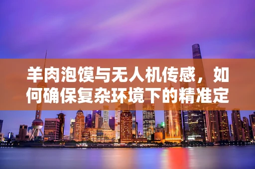 羊肉泡馍与无人机传感，如何确保复杂环境下的精准定位？