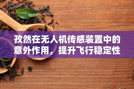 孜然在无人机传感装置中的意外作用，提升飞行稳定性的秘密武器？