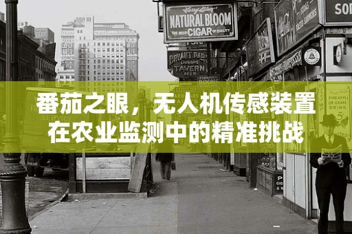 番茄之眼，无人机传感装置在农业监测中的精准挑战