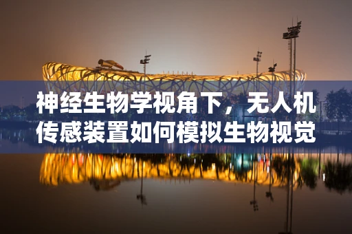 神经生物学视角下，无人机传感装置如何模拟生物视觉系统？