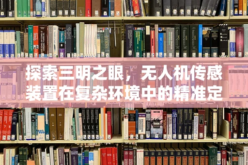 探索三明之眼，无人机传感装置在复杂环境中的精准定位挑战