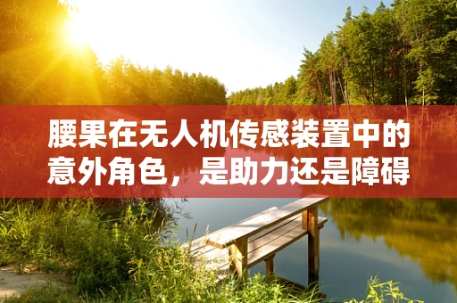 腰果在无人机传感装置中的意外角色，是助力还是障碍？