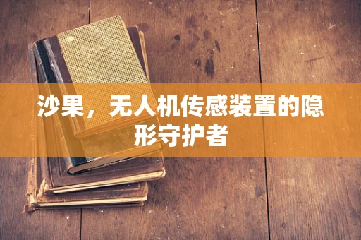 沙果，无人机传感装置的隐形守护者