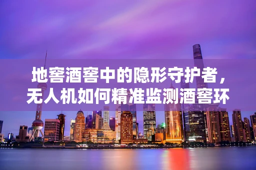 地窖酒窖中的隐形守护者，无人机如何精准监测酒窖环境？