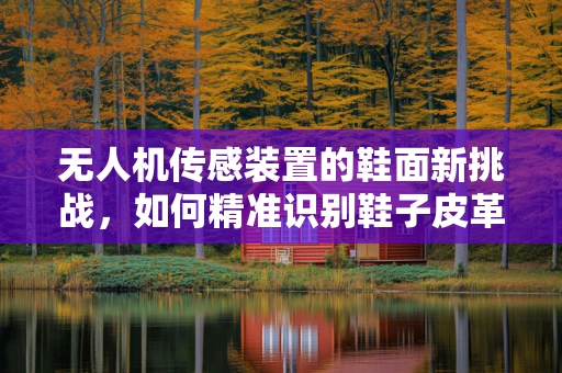 无人机传感装置的鞋面新挑战，如何精准识别鞋子皮革的微妙变化？