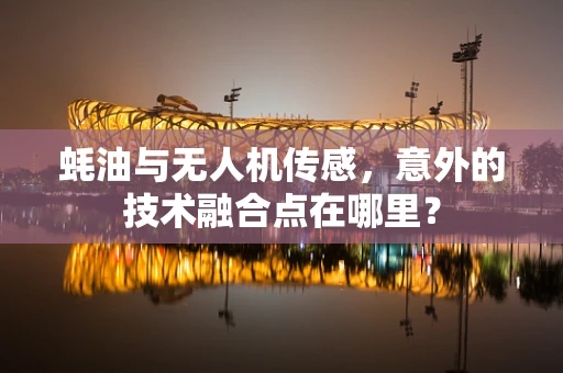 蚝油与无人机传感，意外的技术融合点在哪里？