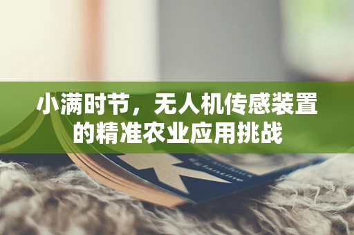 小满时节，无人机传感装置的精准农业应用挑战