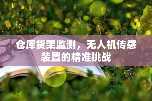 仓库货架监测，无人机传感装置的精准挑战