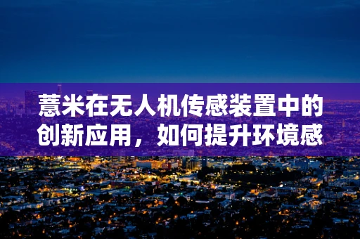 薏米在无人机传感装置中的创新应用，如何提升环境感知的精准度？