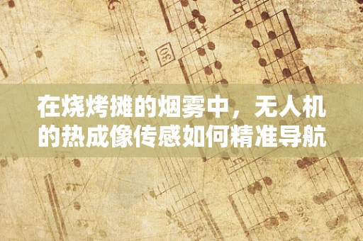 在烧烤摊的烟雾中，无人机的热成像传感如何精准导航？