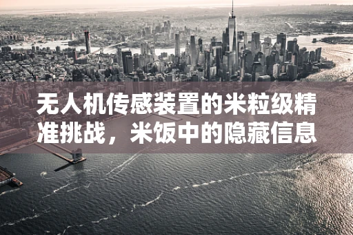无人机传感装置的米粒级精准挑战，米饭中的隐藏信息能被捕捉吗？