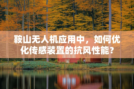 鞍山无人机应用中，如何优化传感装置的抗风性能？