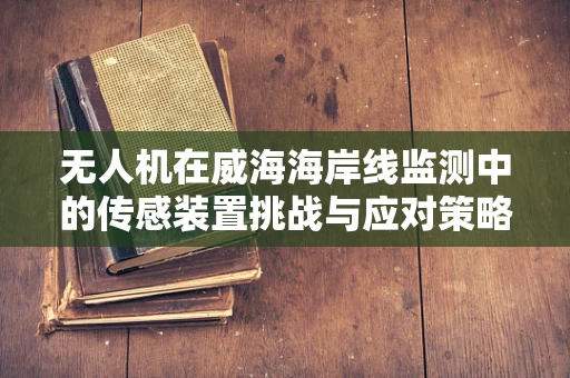无人机在威海海岸线监测中的传感装置挑战与应对策略