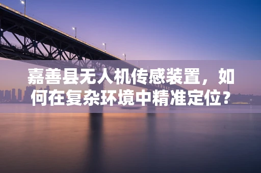 嘉善县无人机传感装置，如何在复杂环境中精准定位？