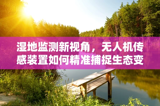 湿地监测新视角，无人机传感装置如何精准捕捉生态变化？