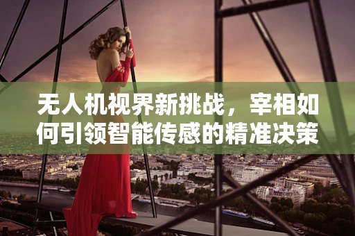 无人机视界新挑战，宰相如何引领智能传感的精准决策？