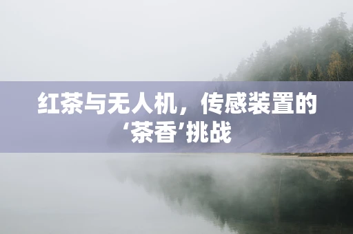 红茶与无人机，传感装置的‘茶香’挑战