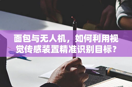 面包与无人机，如何利用视觉传感装置精准识别目标？