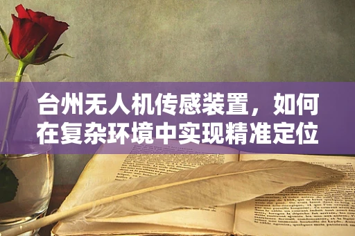 台州无人机传感装置，如何在复杂环境中实现精准定位？