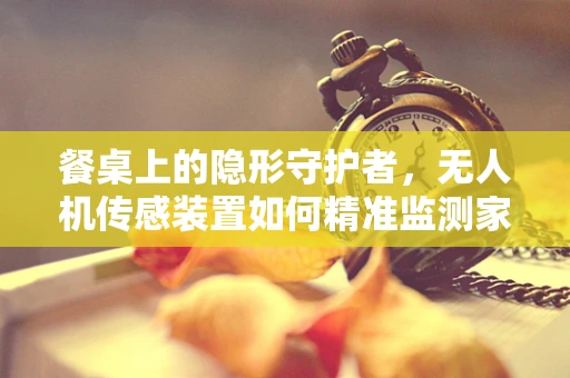 餐桌上的隐形守护者，无人机传感装置如何精准监测家庭安全？