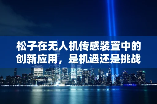 松子在无人机传感装置中的创新应用，是机遇还是挑战？