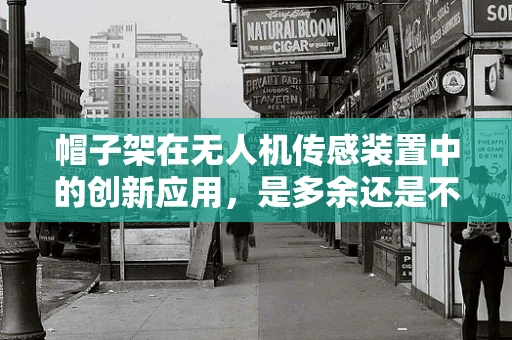 帽子架在无人机传感装置中的创新应用，是多余还是不可或缺的？