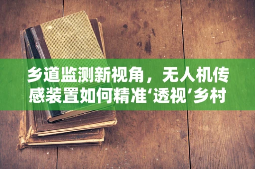 乡道监测新视角，无人机传感装置如何精准‘透视’乡村道路？